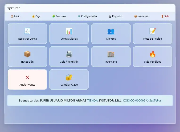 Vista del sistema ControlTuNegocio